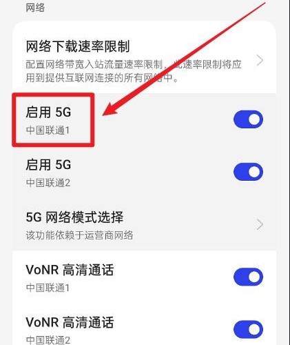 真我12pro+怎么把5g改成4g？