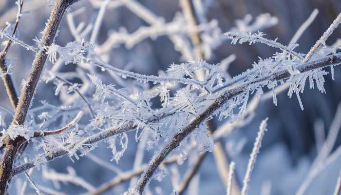 本周末小寒节气将迎一轮冷空气 这些地方降温或超10℃