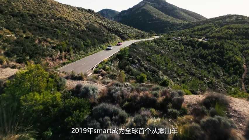 【E汽车】同级销冠smart全面向新的第一个五年汇报插图