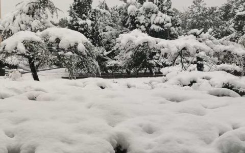 两轮大范围降水过程下周来袭 南方迎暴雨北方迎大雪