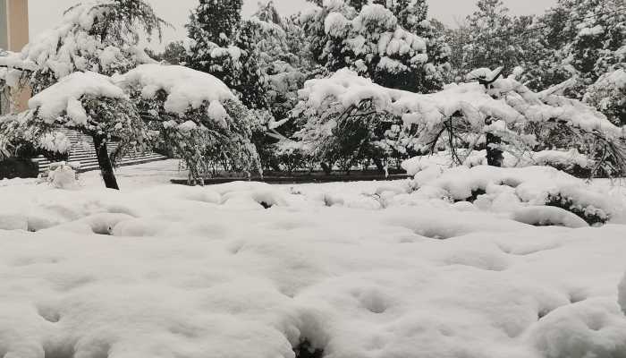 两轮大范围降水过程下周来袭 南方迎暴雨北方迎大雪