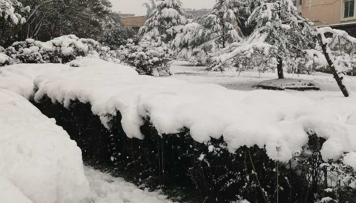 今年最大范围雨雪将于春节前来袭 这10个地方将出现暴雪或大暴雪