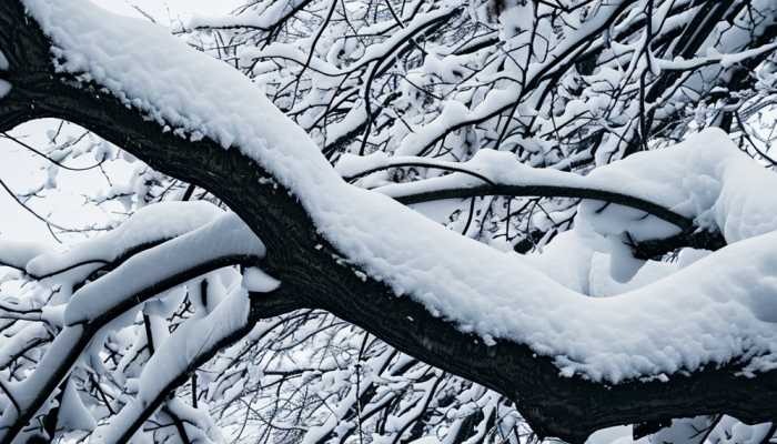 山西春运天气预报来了 大范围较强降雪即将来袭