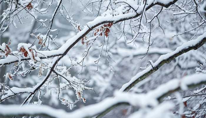 大范围雨雪今天拉开序幕 北方城市降雪时间表发布