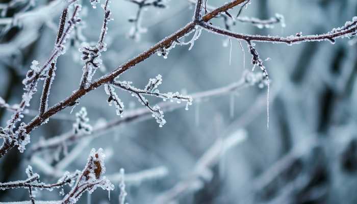 未来两天山东天气晴好 济南本周末将有雨雪来袭