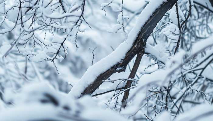 2024年首场大范围雨雪要来了 河南将成为暴雪中心