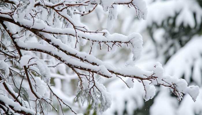 河南发布道路结冰黄色预警 部分高速公路因降雪将交通管制