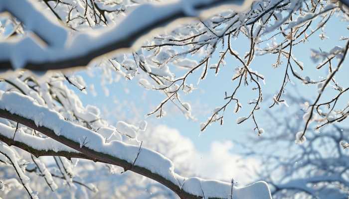 今年首场大范围雨雪波及20余省份 这场雪还要下多久?