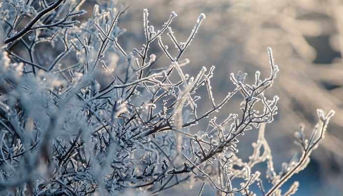 南方大范围暴雪来势汹汹 2008年南方雪灾会再现吗?