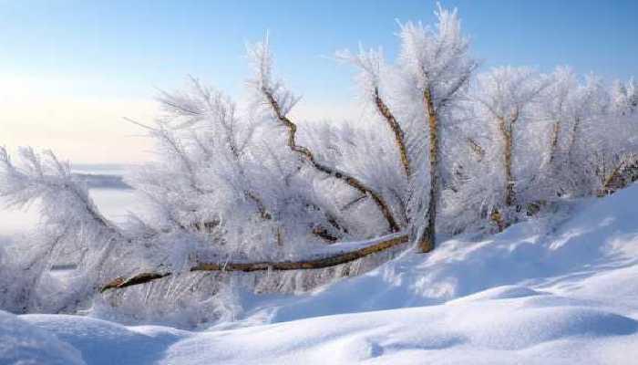 寒潮来袭未来三天河北雨雪在线 张家口承德等地有中雪