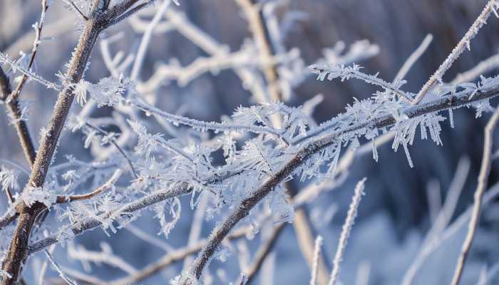 浙江雨雪天气来袭 今天多地发布停课通知