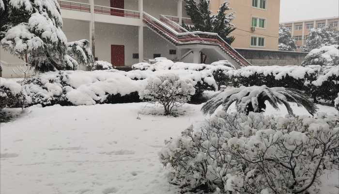 成都好大的雪 这次不是“头皮雪”是大雪