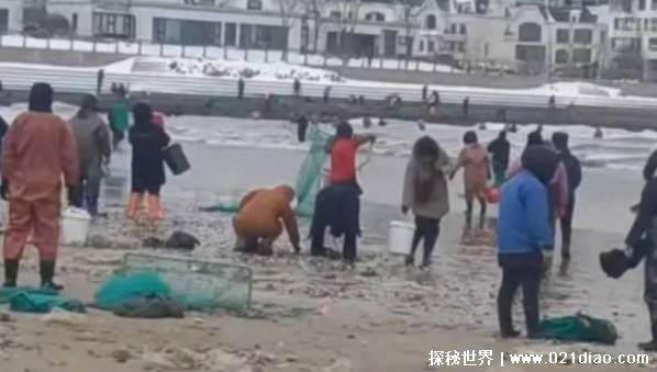 海边发生多起捞海肠溺水事件 溺水抢救的黄金时间插图