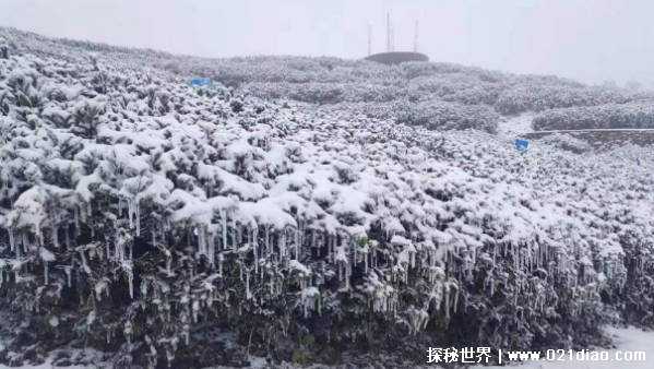 中央气象台再次6预警连发 暴雪冻雨有何注意事项插图4