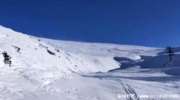 雪道上的事故到底谁负责 道路滑雪有规则插图4