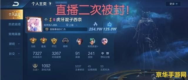 守望先锋段位 守望先锋：段位之谜**