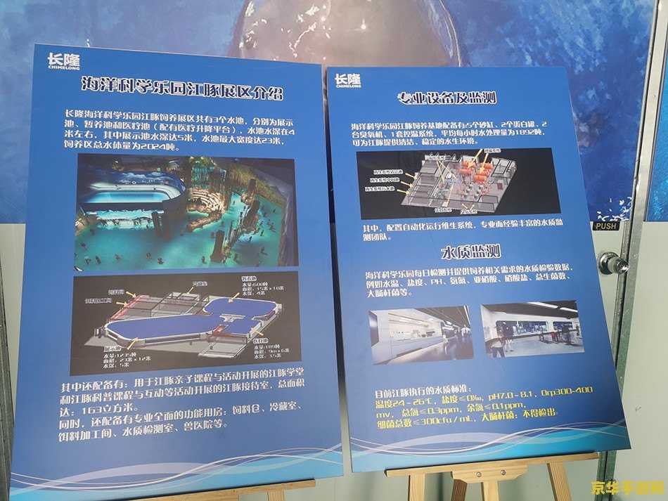 斗战神神技飞升任务 斗战神神技飞升任务：挑战与机遇的交织