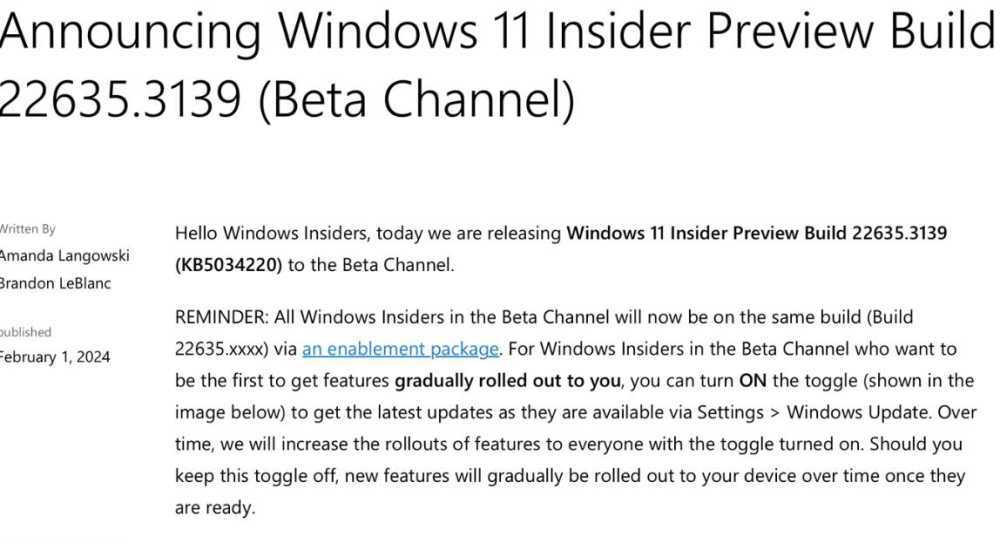 Win11 Beta 预览版 Build 22635.3139更新补丁KB5034220 发布(附更新修复汇总)插图