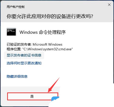 win11网卡mac地址怎么查? Win11使用命令获取网卡MAC地址方法插图6