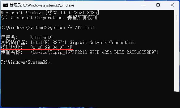 win11网卡mac地址怎么查? Win11使用命令获取网卡MAC地址方法插图8