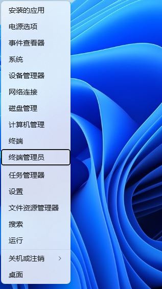 win11网卡mac地址怎么查? Win11使用命令获取网卡MAC地址方法插图10