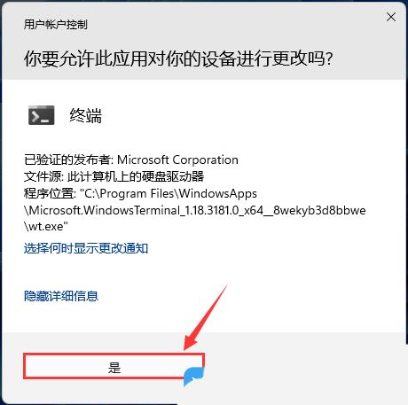 win11网卡mac地址怎么查? Win11使用命令获取网卡MAC地址方法插图12