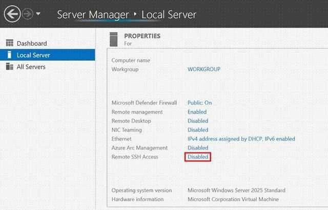 Windows Server 26063预览版今日发布: 引入 WinGet 命令插图2