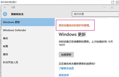 Win11提示某些设置由你的组织管理怎么解决?插图12