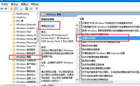 Win11提示某些设置由你的组织管理怎么解决?插图18