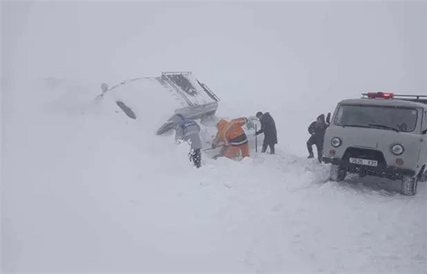 遭遇50年不遇雪灾！蒙古国入冬以来已损失超60万头牲畜