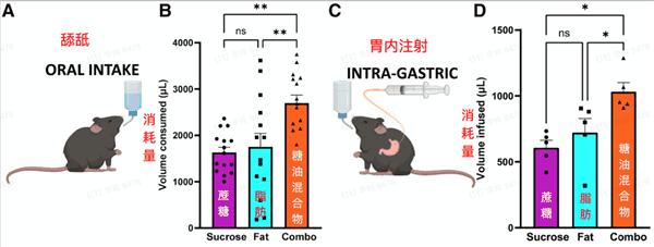 这种让人上瘾的食物比喝油还胖人！