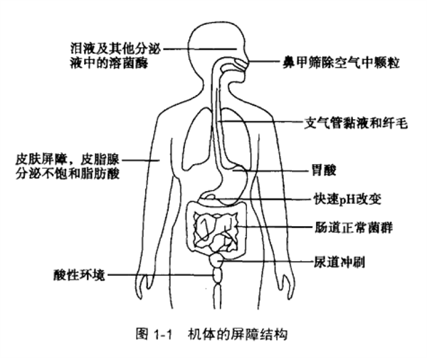 提高免疫的方式只有这9种 其余统统不靠谱！