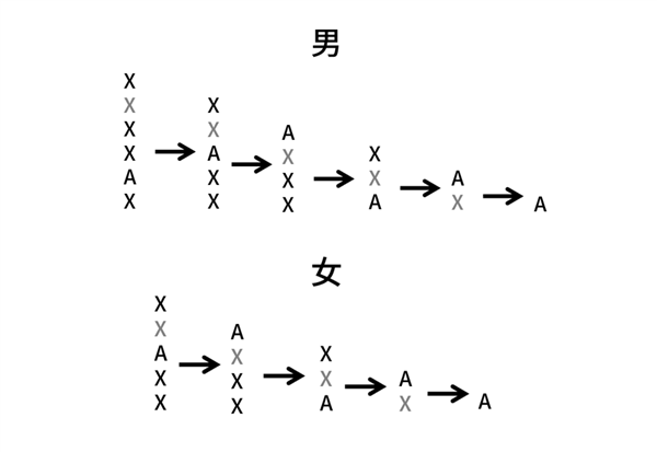 小尼工作保住了！春晚魔术大揭秘：尼格买提翻车在哪了