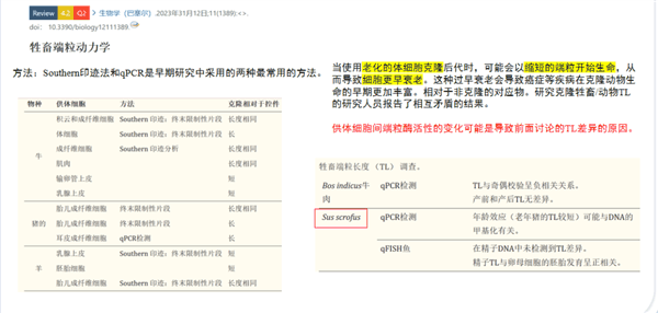 20万就能克隆你的宠物：但是 真相太丧心病狂了