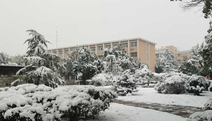 河南迎今冬以来最强降雪 多个景区通知暂停开放