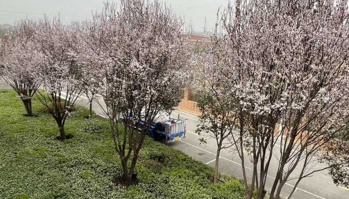 中国有一座城市，别说外地人，连本地人都搞不清楚自己是南方人还是北方人