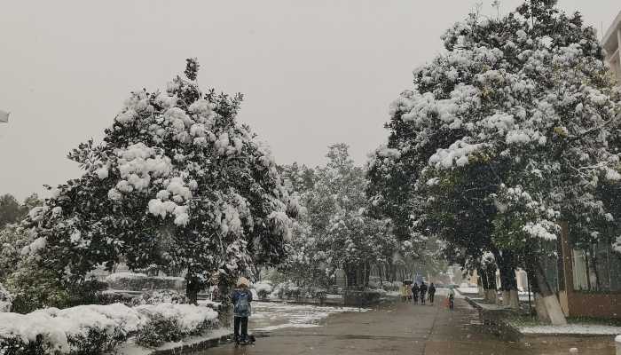 河南将成强降雪核心影响区域 这场雪要下好久