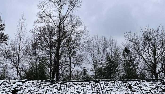 河北未来三天降雪频繁 明后天气温持续较低