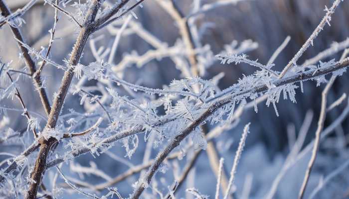 湖北大范围冻雨冰冻再来袭 明晚武汉可能将有大到暴雪