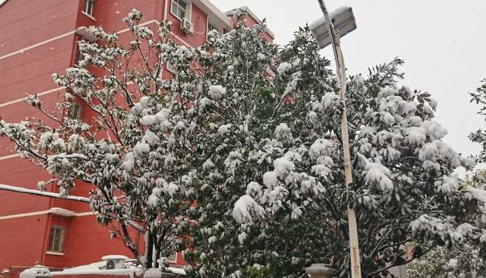 今天寒潮影响仍在持续湖北将有大范围雨雪冰冻 武汉最高气温仅0℃