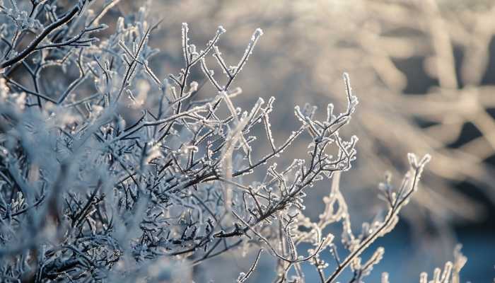 今早继续发布暴雪黄色预警 西藏湖北2省将有暴雪