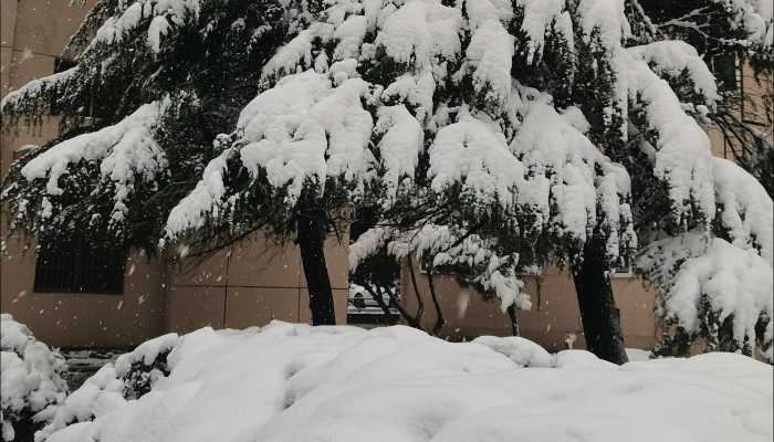 未来三天安徽雨雪天气持续 合肥今天局部将有暴雪