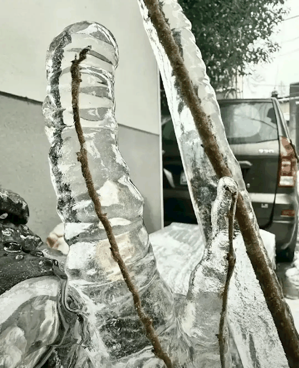 看看冻雨的可怕威力！武汉一居民家阳台成“冰雪世界”：这里还要下