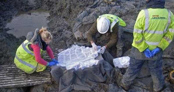 英国出土1700年前鸡蛋发现仍有蛋液：但臭气熏天