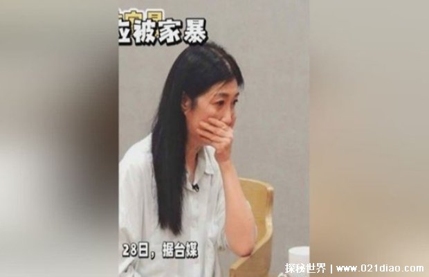 黄嘉千称曾被家暴五六次以上 被家暴怎么办插图