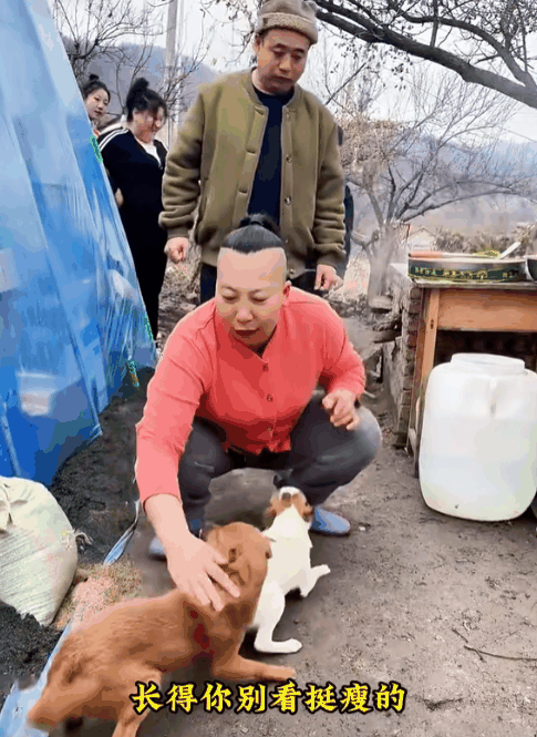 东北雨姐：东北给全国人打的一针兴奋剂