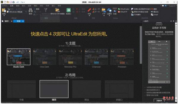 UltraEdit怎么取消自动检查更新? 禁止ultraedit自动检测更新的方法插图