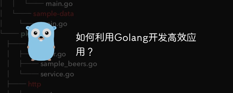 如何利用golang开发高效应用？