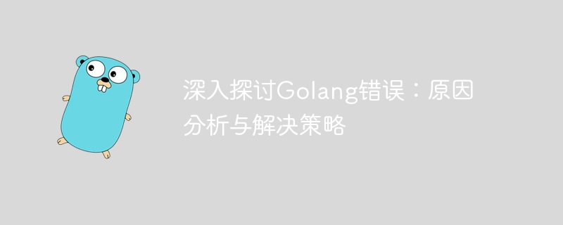 深入探讨golang错误：原因分析与解决策略