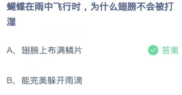 蚂蚁庄园3月21日:蝴蝶在雨中飞行时为什么翅膀不会被打湿